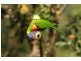 Lot 46 Carnarvon Drive, Beerwah QLD 4519