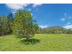 44 Shaws Road, Beerwah QLD 4519