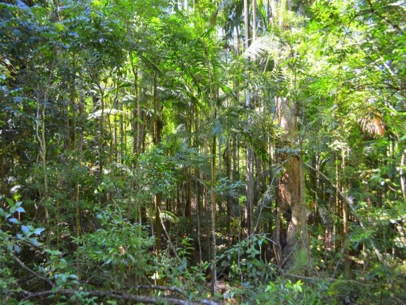 21 and 25 Quandong Close, Peachester QLD 4519