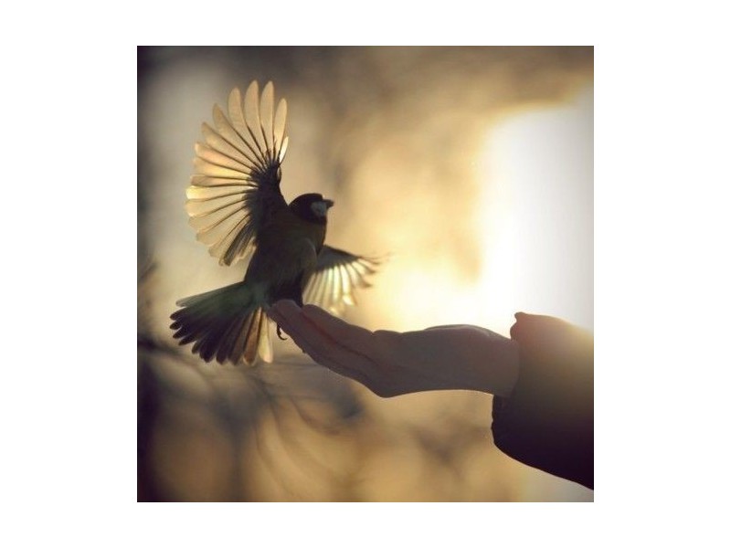 Lot 8 Lakefield Cres, Beerwah QLD 4519