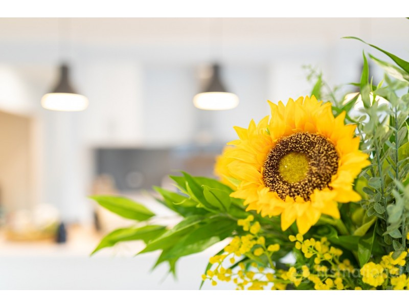 62 Clark Ave, Glass House Mountains QLD 4518