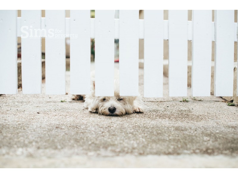 26 Ann Street, East Launceston TAS 7250