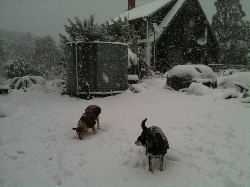 949 Mount Barrow Road, Nunamara TAS 7259