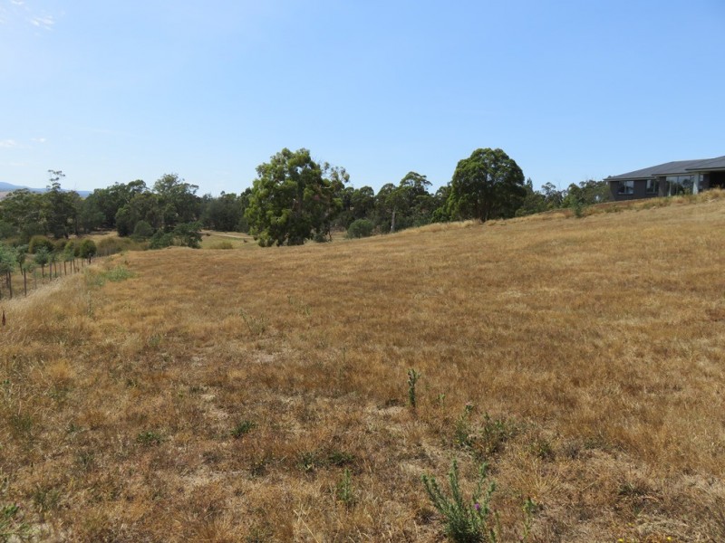 11 Bevel Court, Youngtown TAS 7249