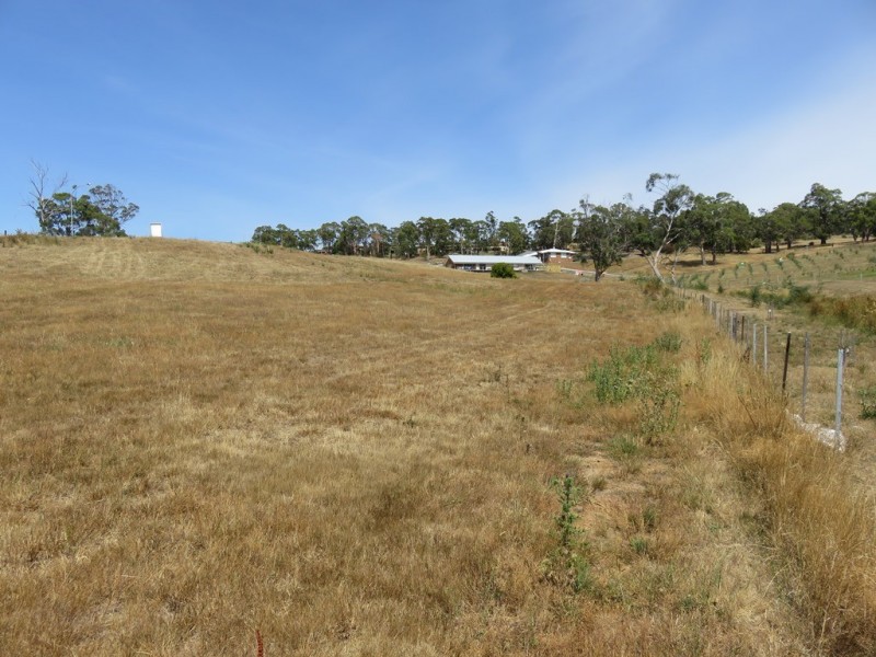 11 Bevel Court, Youngtown TAS 7249