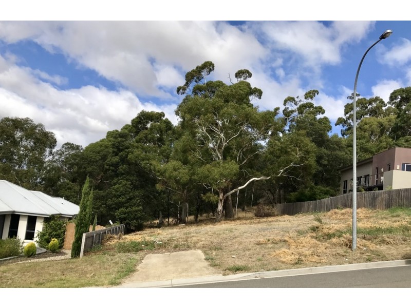 53 Piper Avenue, Youngtown TAS 7249