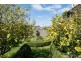 1 Electra Street, Riverside TAS 7250