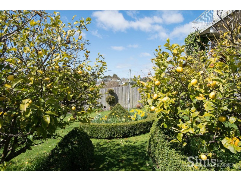 1 Electra Street, Riverside TAS 7250