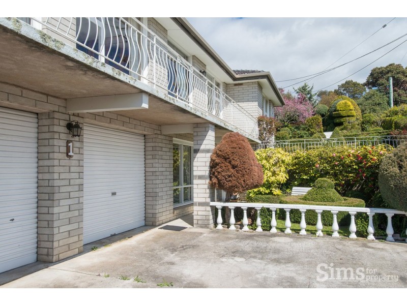 1 Electra Street, Riverside TAS 7250