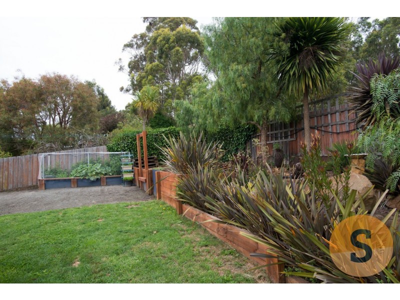 29 Pitt Avenue, Trevallyn TAS 7250