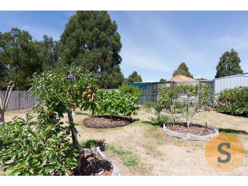 17 Jones Street, Westbury TAS 7303