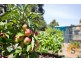 17 Jones Street, Westbury TAS 7303