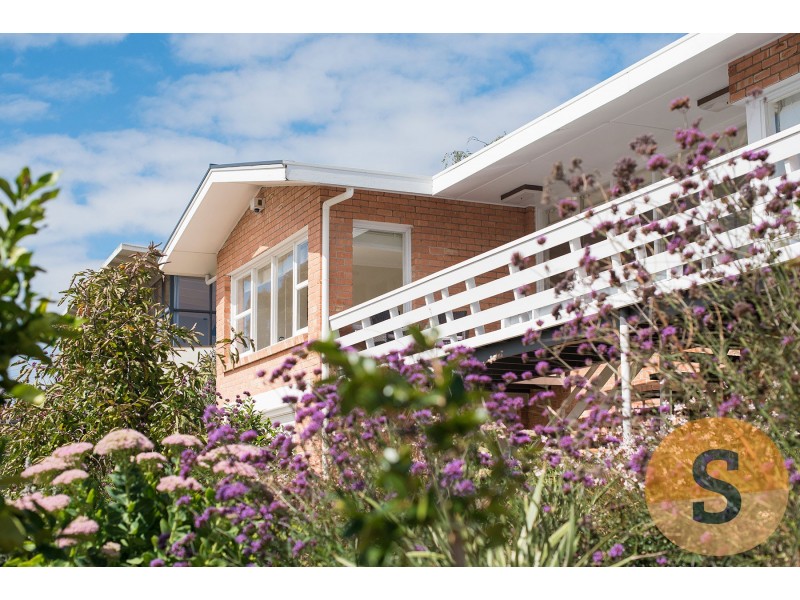 69 Riseley Street, Kings Meadows TAS 7249