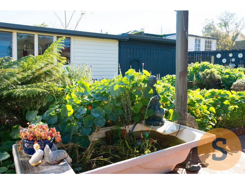 81 Abbott Street, East Launceston TAS 7250