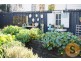 81 Abbott Street, East Launceston TAS 7250
