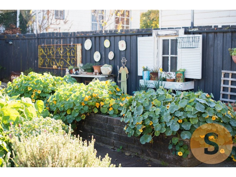 81 Abbott Street, East Launceston TAS 7250