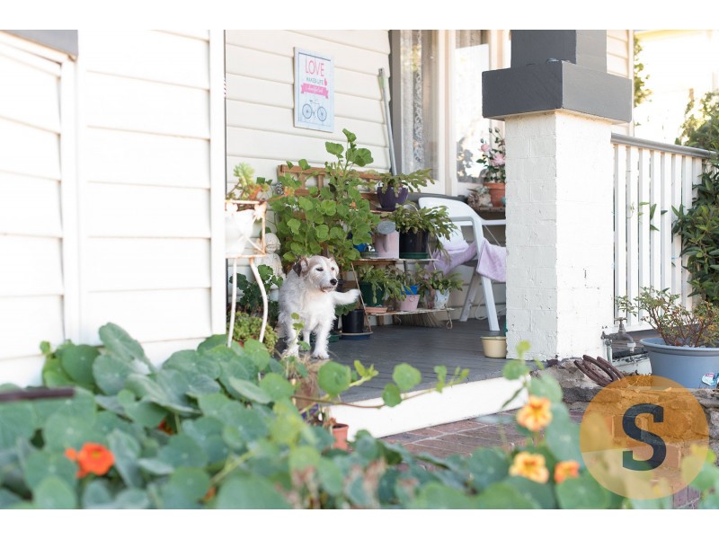81 Abbott Street, East Launceston TAS 7250