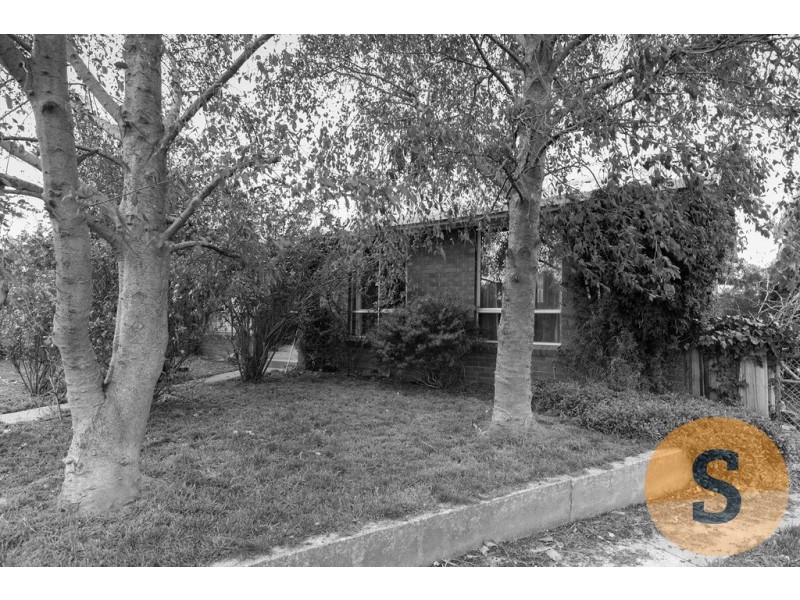 10 Westringia Court, Rocherlea TAS 7248