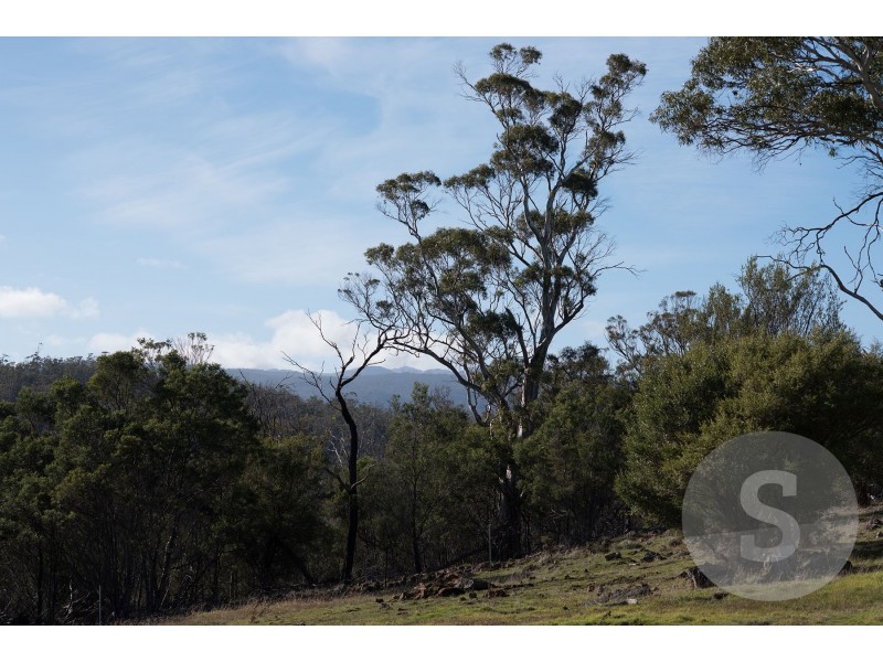 58 White Gum Rise, St Leonards TAS 7250