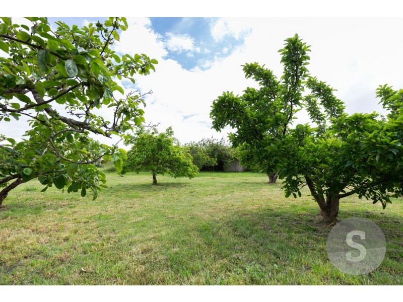 49 Hillwood Jetty Road, Hillwood TAS 7252