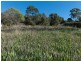 407 Rosevears Drive, Lanena TAS 7275
