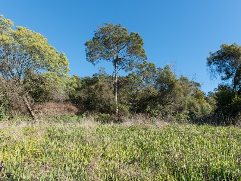 407 Rosevears Drive, Lanena TAS 7275