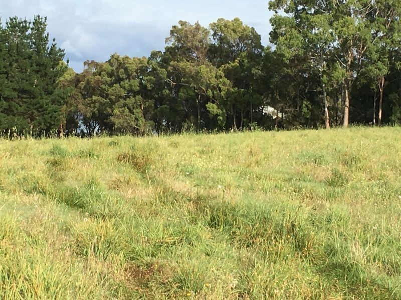 26 Marks Rise, Hillwood TAS 7252