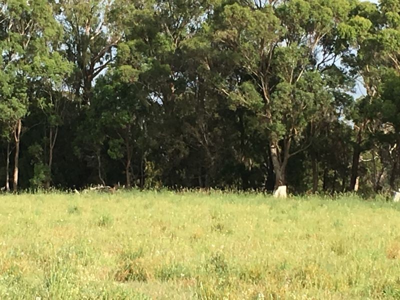 26 Marks Rise, Hillwood TAS 7252