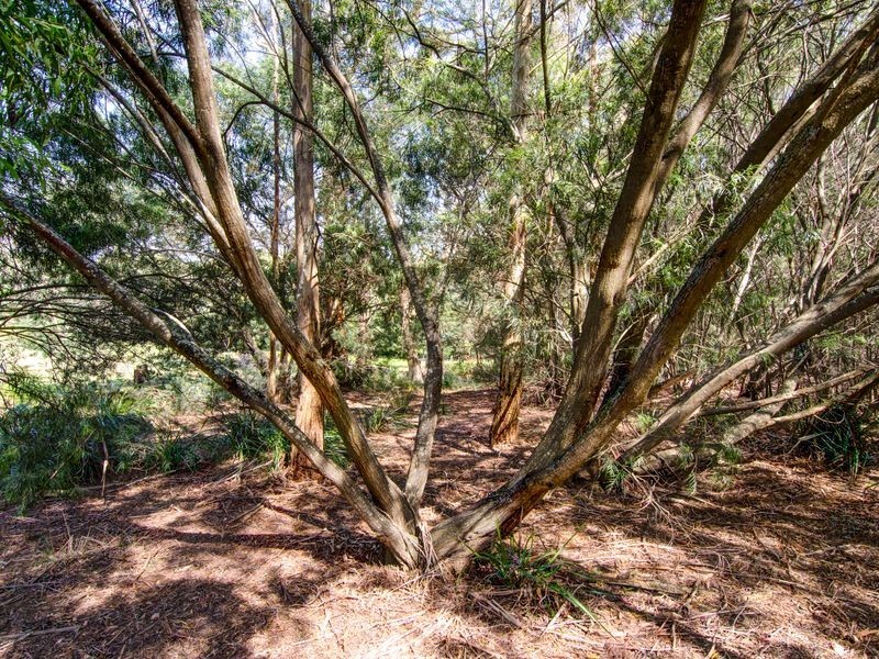 60 Hjorts Road, Loira TAS 7275