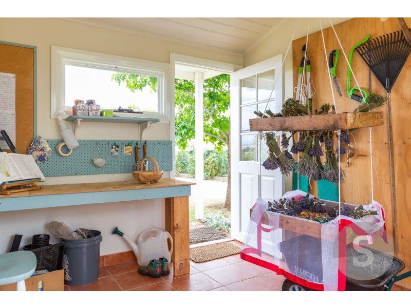 104 William Street, Westbury TAS 7303