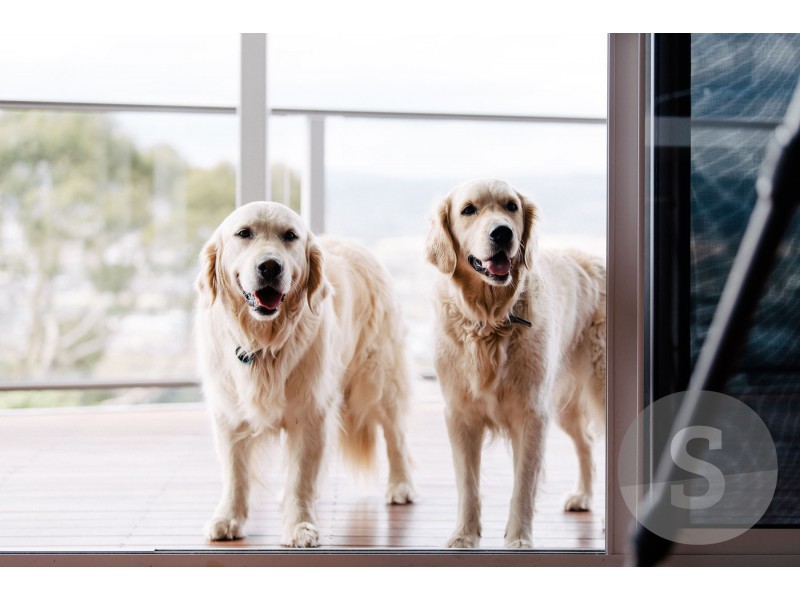 1/69 Lachlan Parade, Trevallyn TAS 7250