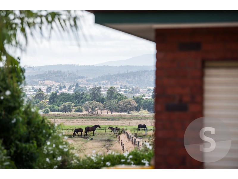 41 Cleghorn Avenue, Riverside TAS 7250