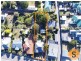 4 Ray Street, Invermay TAS 7248