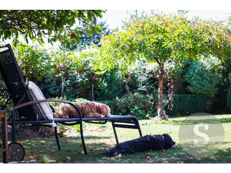 4 Dalwood Street, Newstead TAS 7250