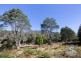 949 Mount Barrow Road, Nunamara TAS 7259