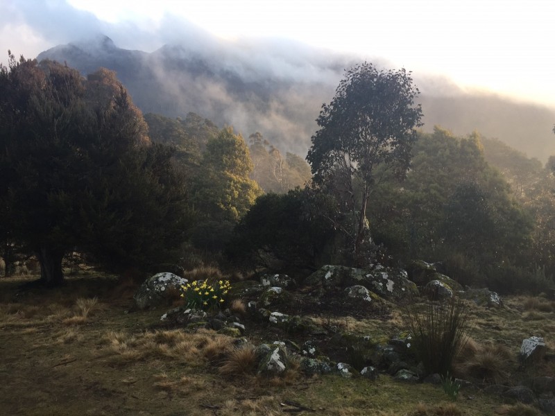 949 Mount Barrow Road, Nunamara TAS 7259