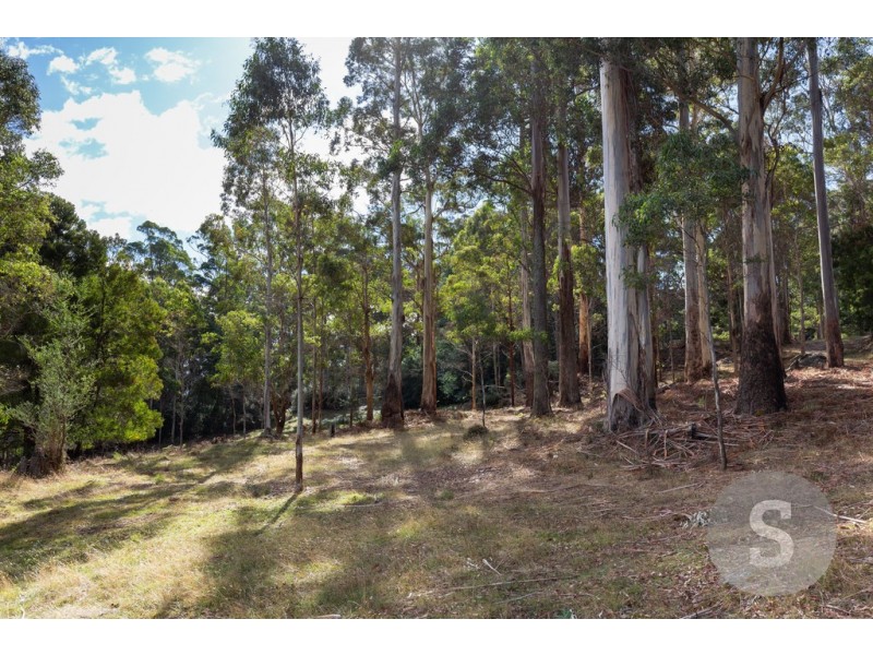 524 Brown Mountain Road, Underwood TAS 7268