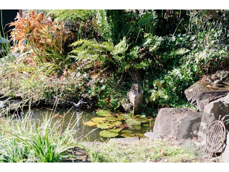 5 Dowling Street, Launceston TAS 7250