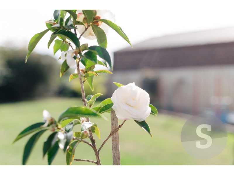 3 Bayne Place, Prospect Vale TAS 7250