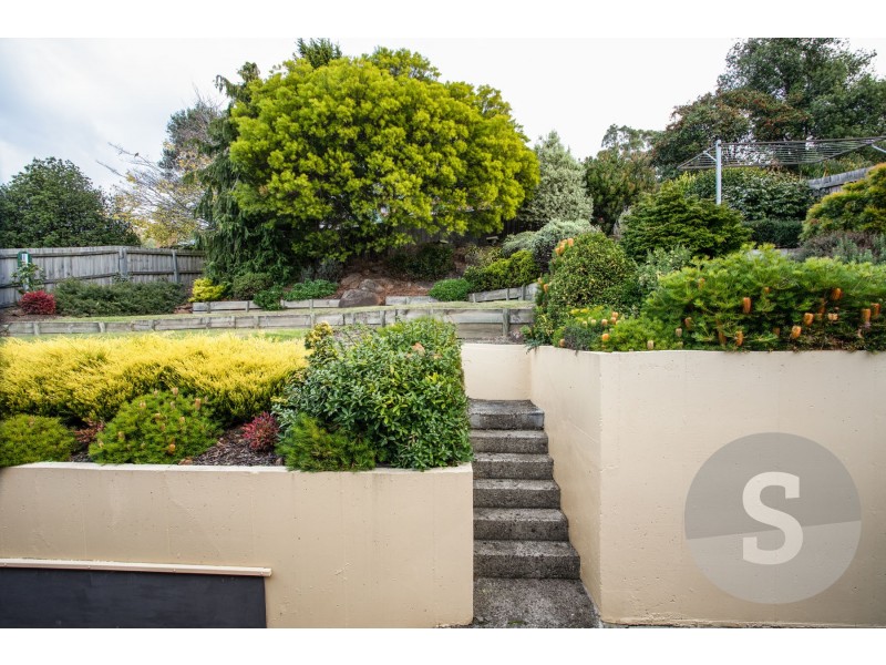 11 Penrith Street, Riverside TAS 7250