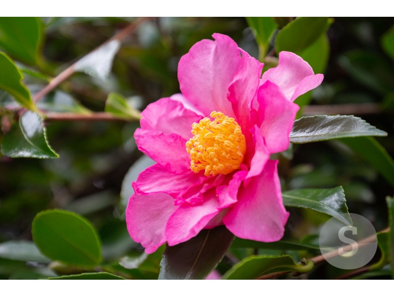 97 Punchbowl Road, Punchbowl TAS 7249