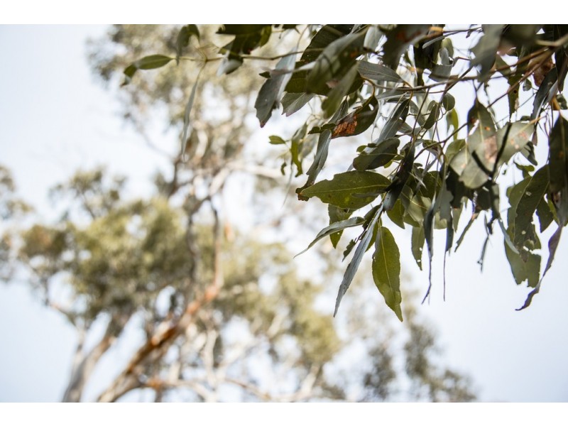 Lot 28 Amali Court, West Launceston TAS 7250