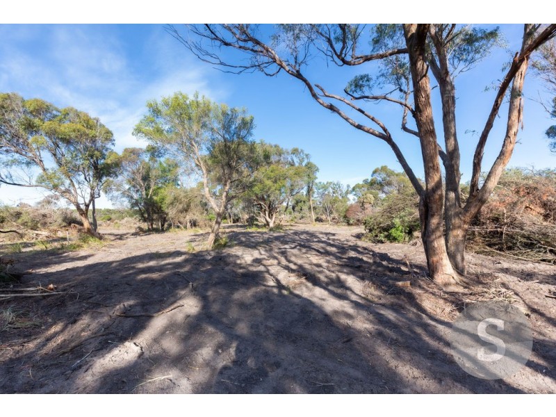 61 Fannys Bay Road, Lulworth TAS 7252