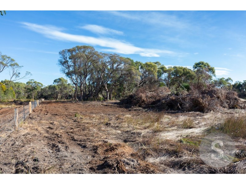 61 Fannys Bay Road, Lulworth TAS 7252