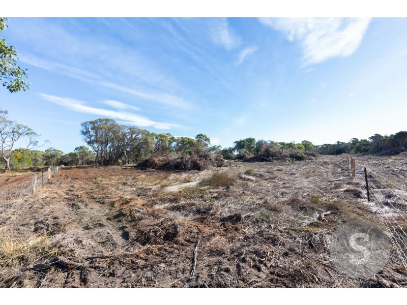 61 Fannys Bay Road, Lulworth TAS 7252
