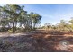 61 Fannys Bay Road, Lulworth TAS 7252