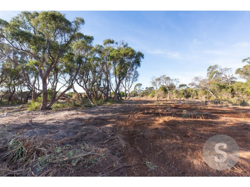 61 Fannys Bay Road, Lulworth TAS 7252
