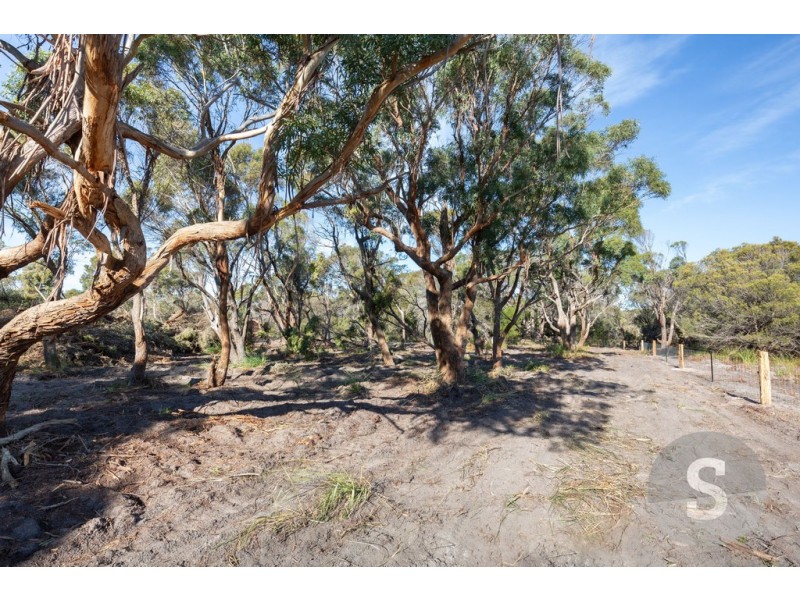 61 Fannys Bay Road, Lulworth TAS 7252
