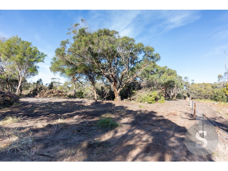 61 Fannys Bay Road, Lulworth TAS 7252