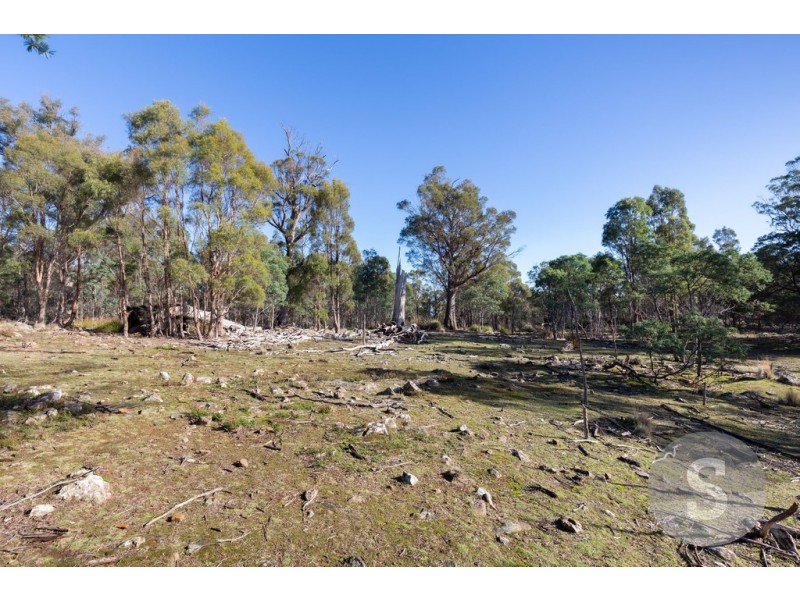 276 Lilydale Road, Rocherlea TAS 7248